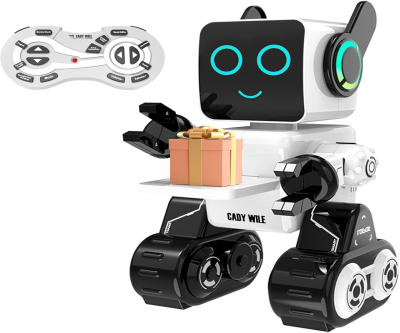 Rechargeable RC Robot Toy